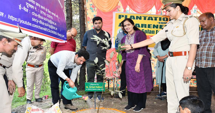 सोलन की ग्राम पंचायत सेरी में पौधरोपण अभियान, रोपे 100 पौधे